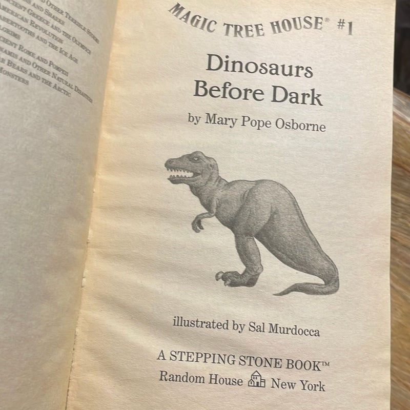 23 books: MAGIC TREE HOUSE series