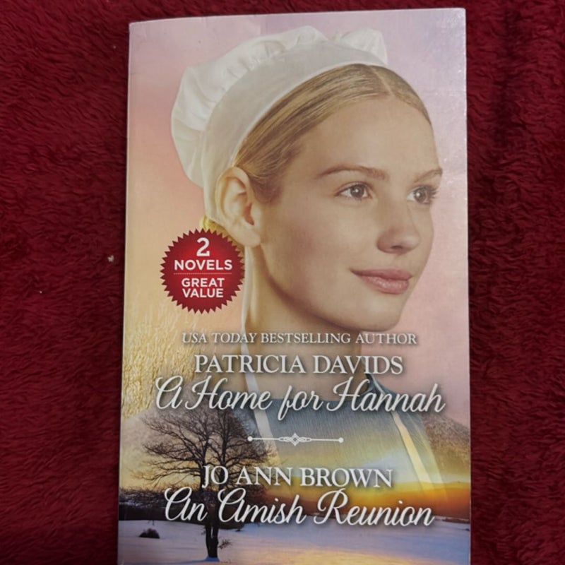 A Home for Hannah and an Amish Reunion
