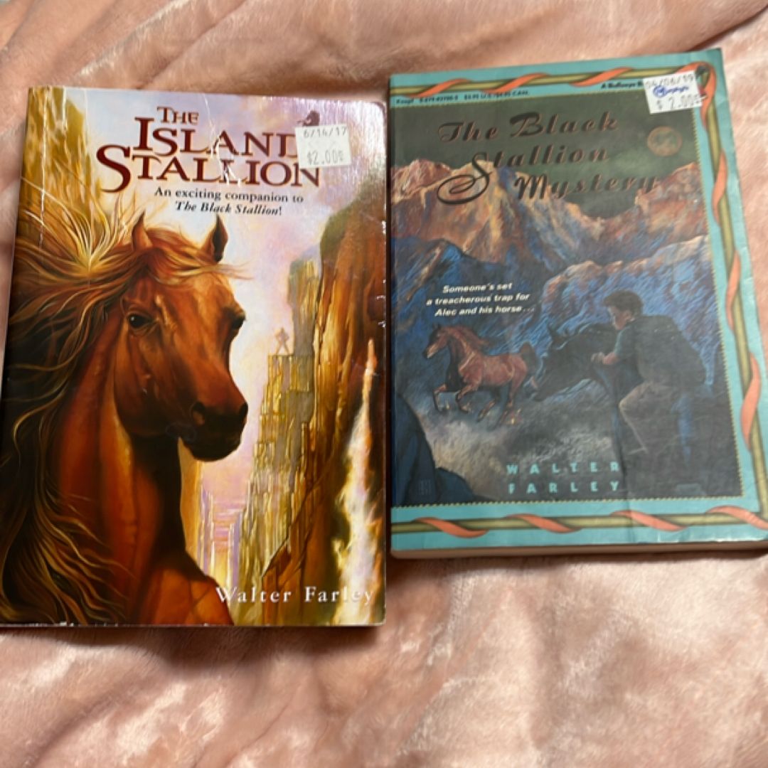 The Black Stallion Mystery