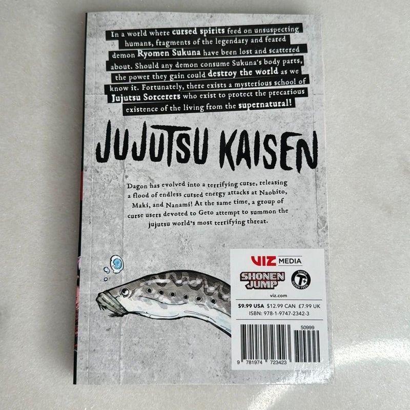 Jujutsu Kaisen, Vol. 13