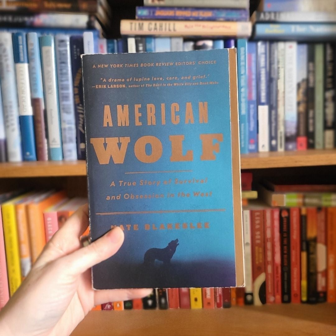 American Wolf