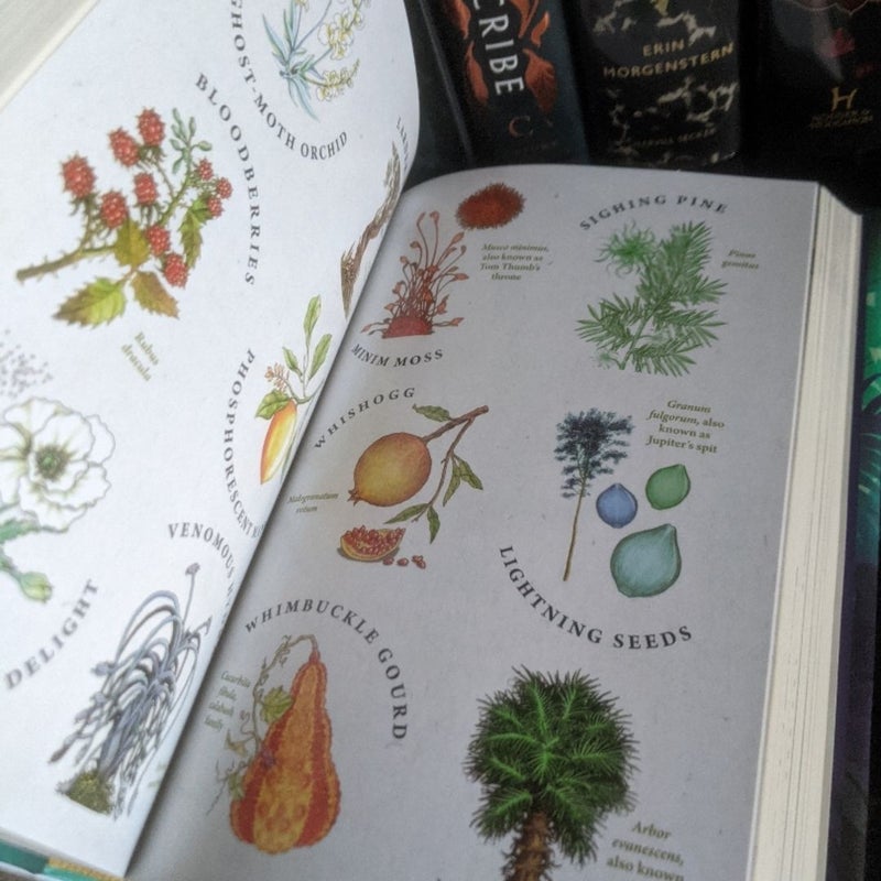 Middlegrade hardcover bundle