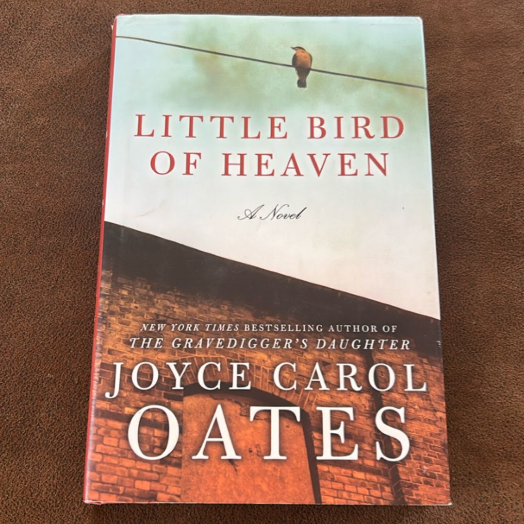 Little Bird of Heaven