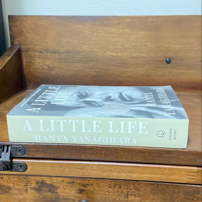 A Little Life