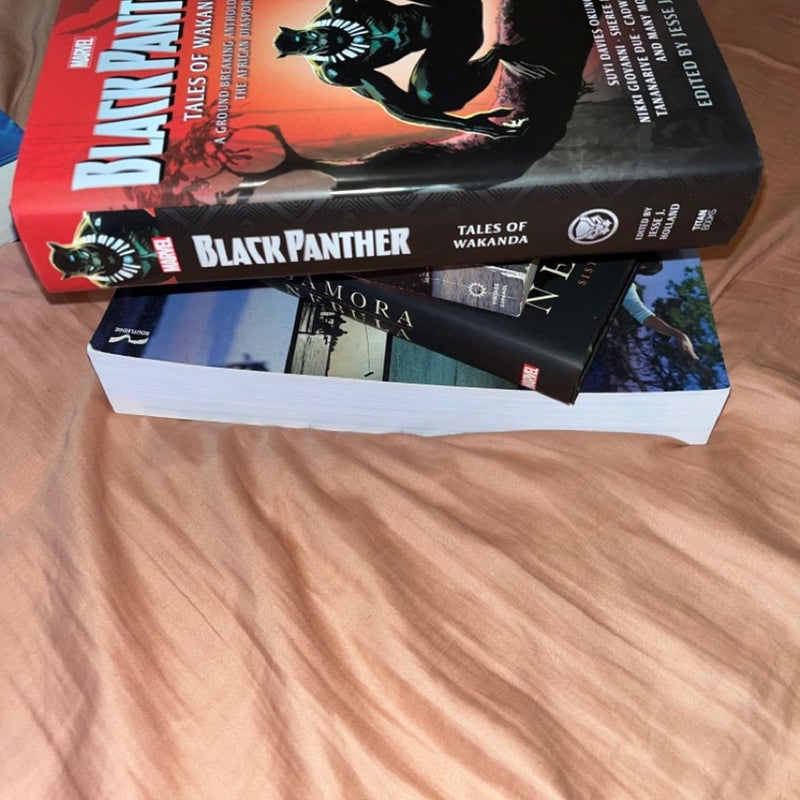 Black Panther Tales of Wakanda