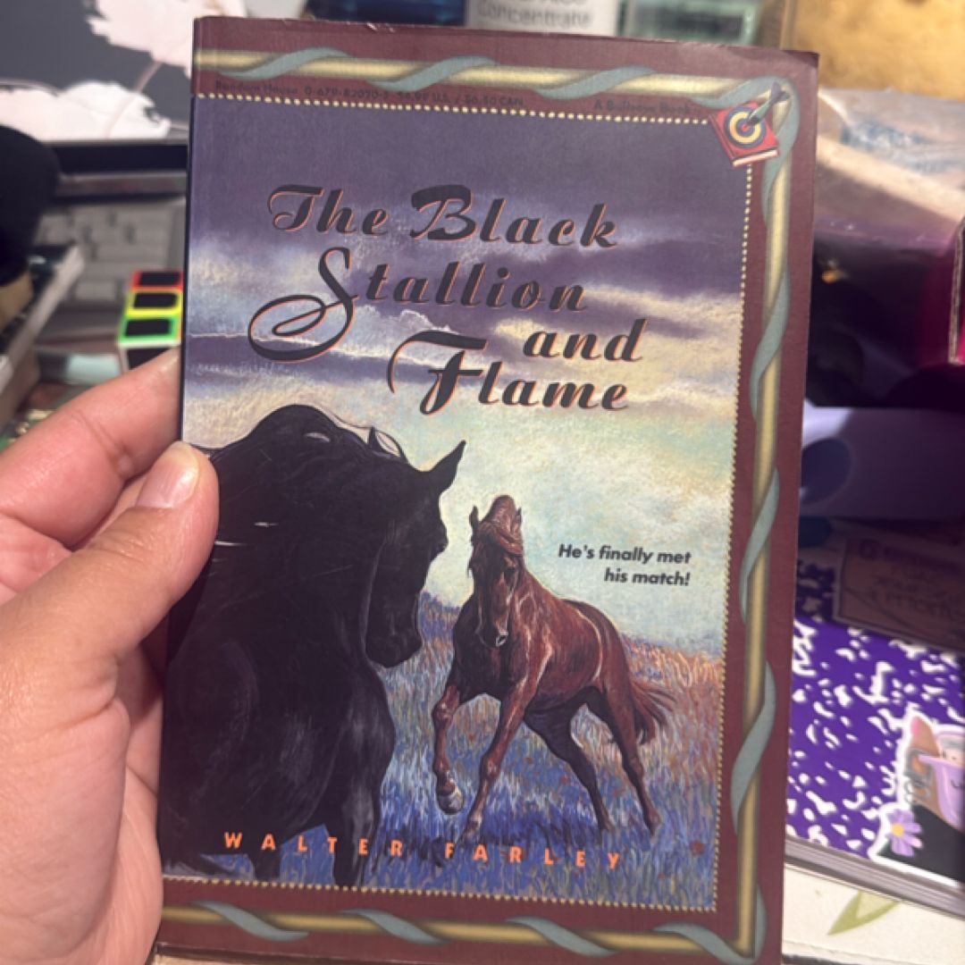 The Black Stallion & Flame 