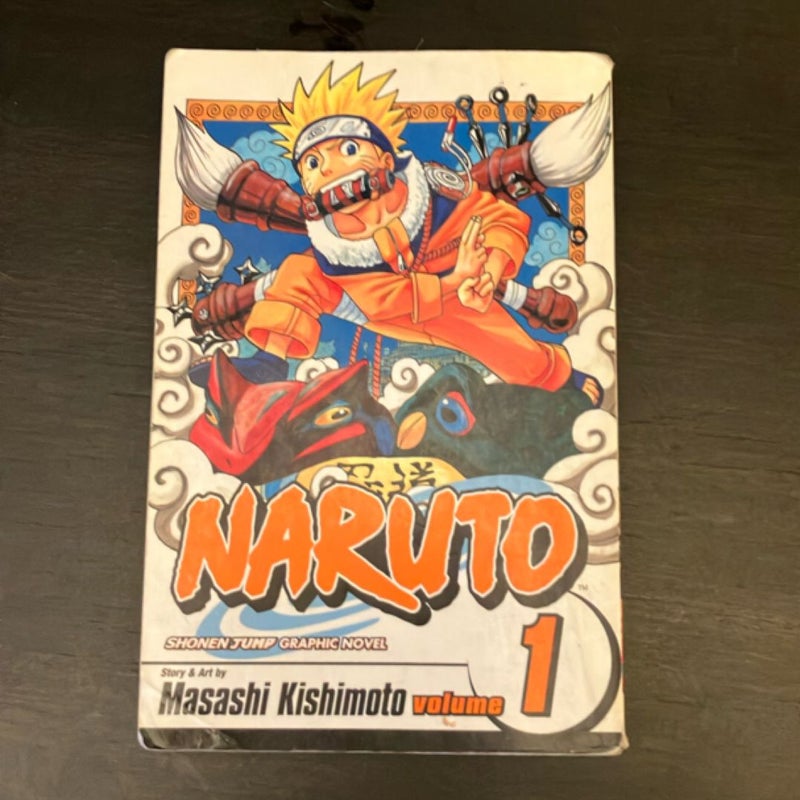 Naruto, Vol. 1