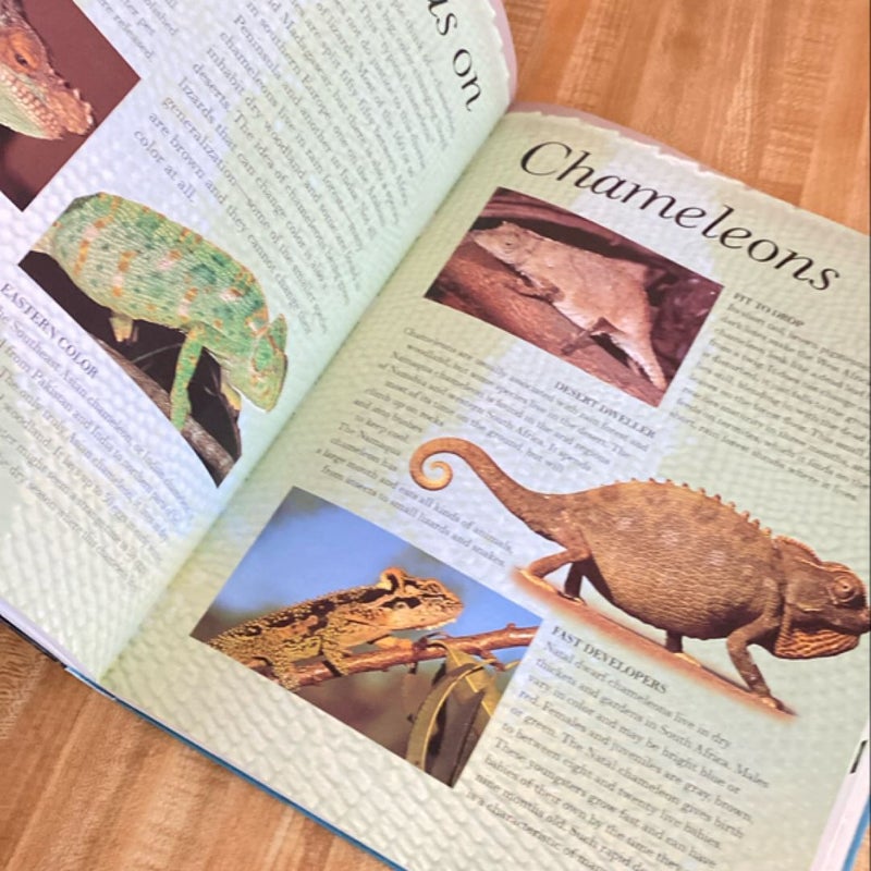 The Great Big Book of Snakes and Reptiles