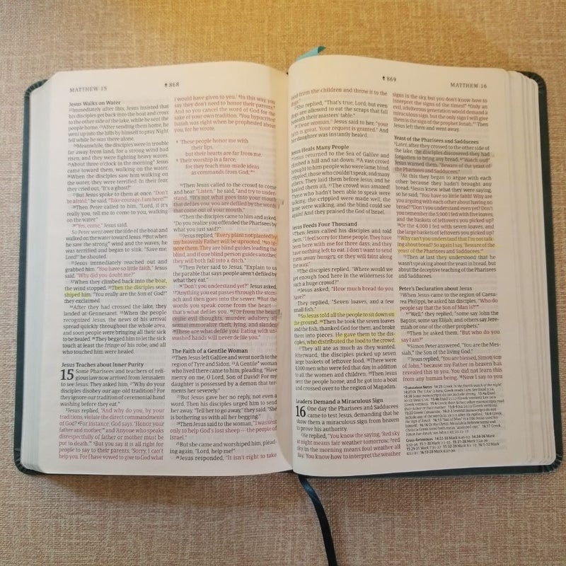 NLT Bible (Red letter, teal, leatherlike)