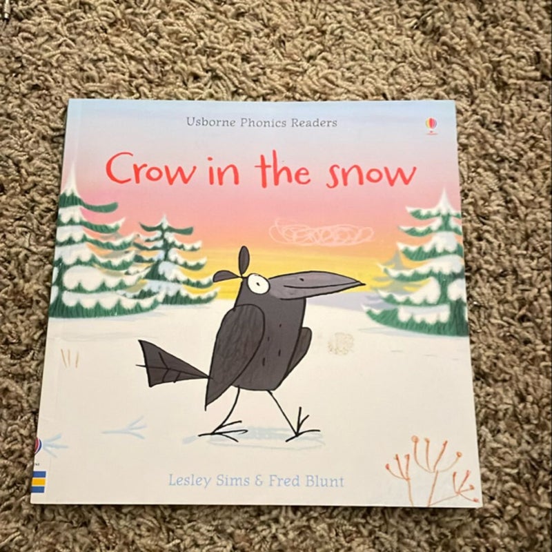 Crow in the Snow