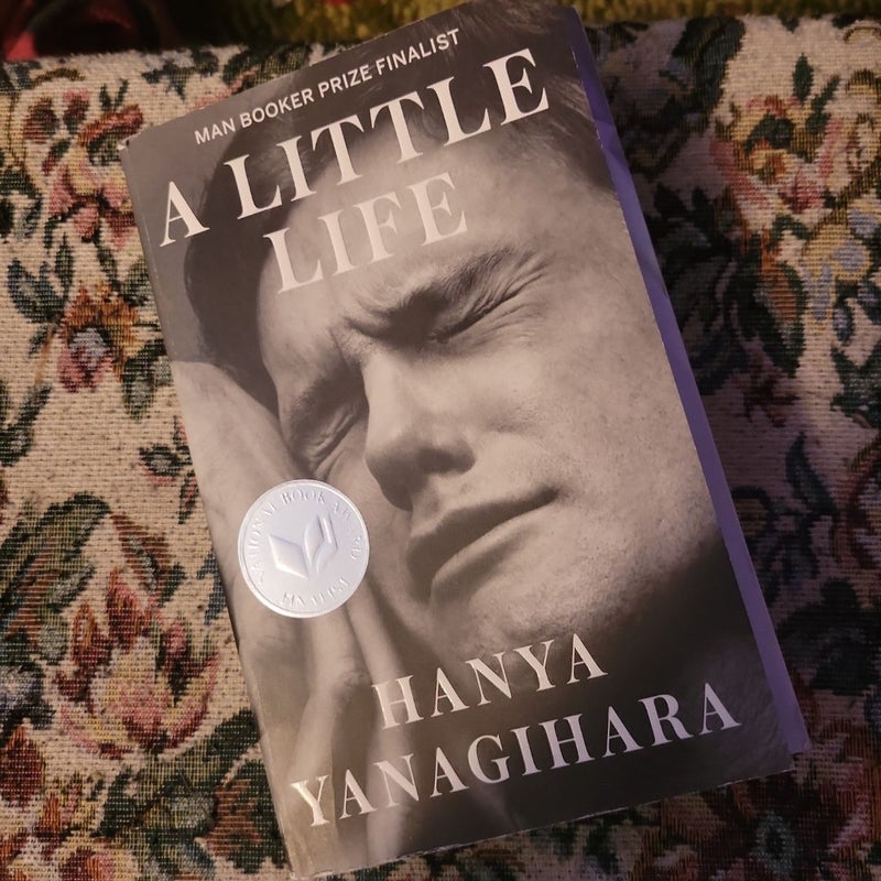 A Little Life