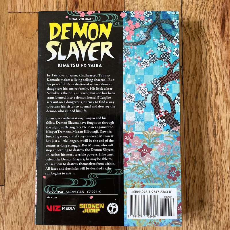 Demon Slayer: Kimetsu No Yaiba, Vol. 23