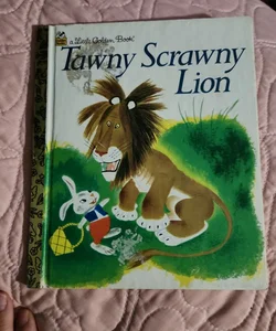 Tawny Scrawny Lion