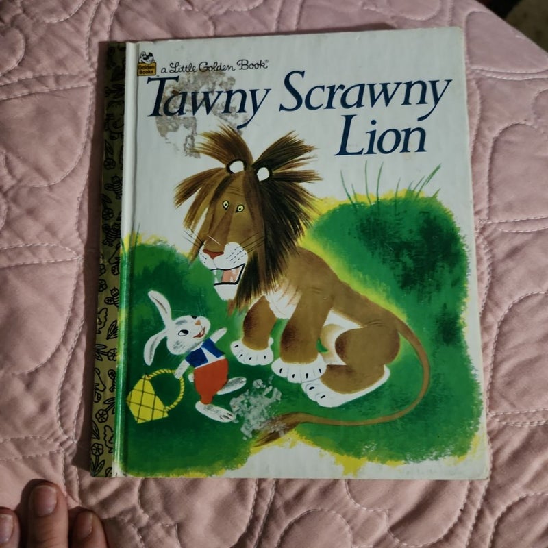 Tawny Scrawny Lion