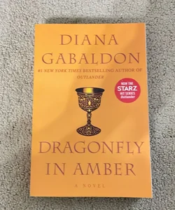 Dragonfly in Amber