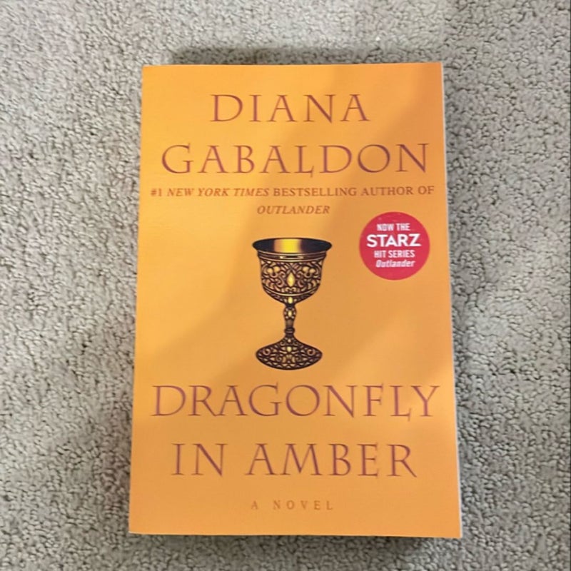 Dragonfly in Amber