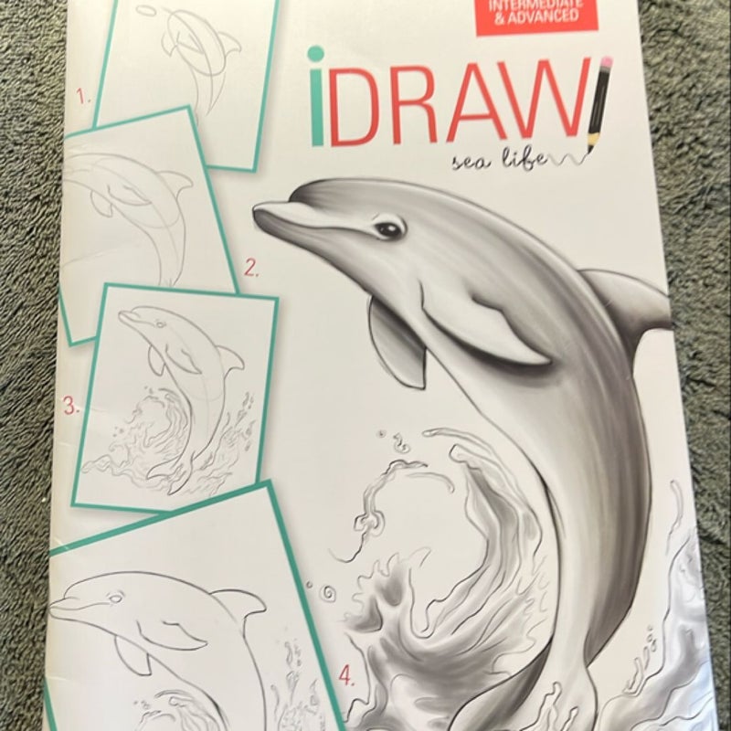 Idraw step by step sea life 