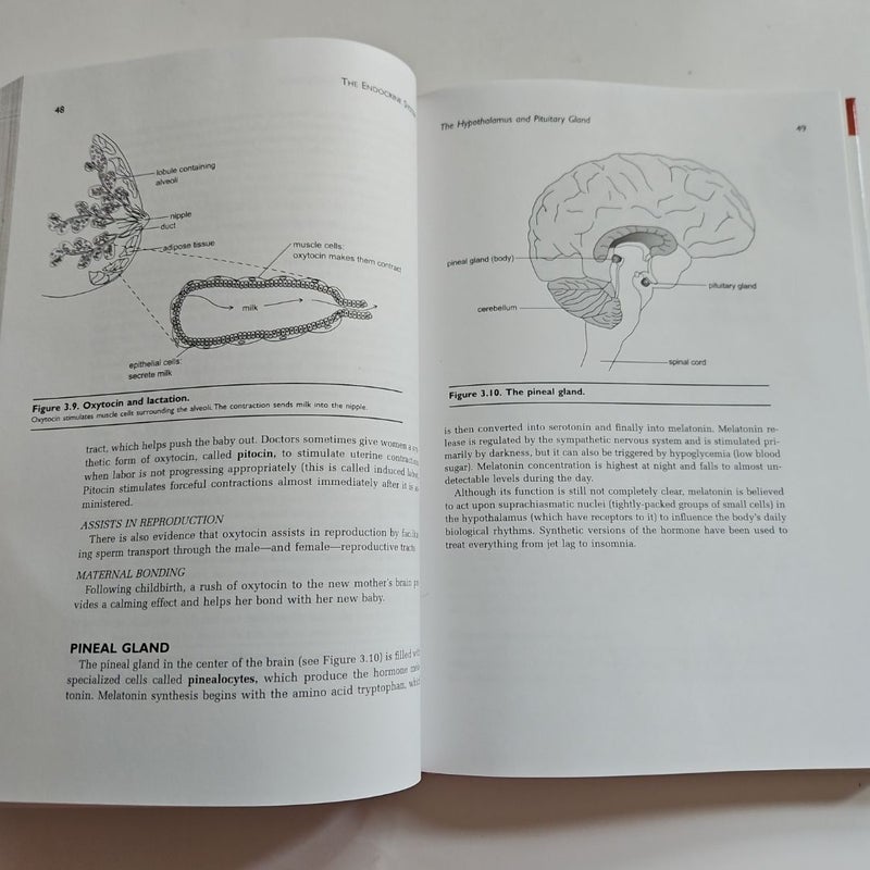 The Endocrine System