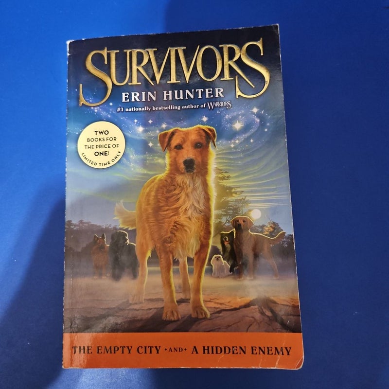 Survivors: the Empty City and a Hidden Enemy