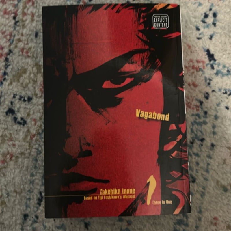 Vagabond (VIZBIG Edition), Vol. 1