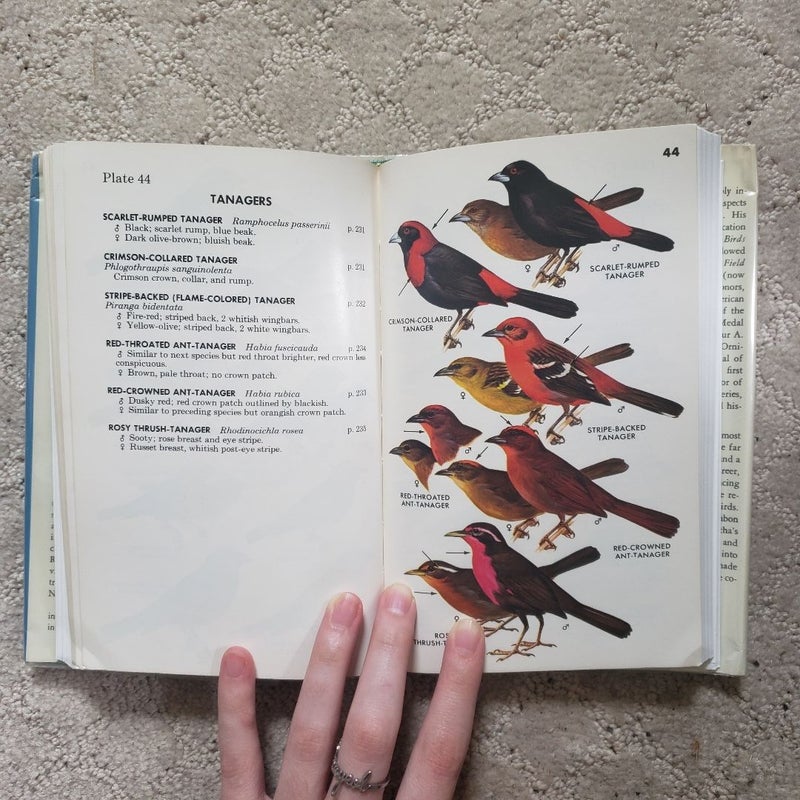 A Field Guide to Mexican Birds and Adjacent Central America (Houghton Mifflin Edition, 1973)