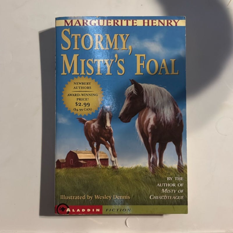 Stormy Misty’s Foal 
