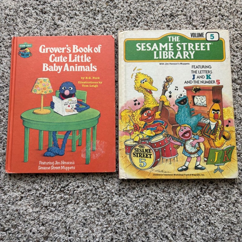 Bundle Lot of 10 Vintage Sesame Street Kids Books 70s/80s