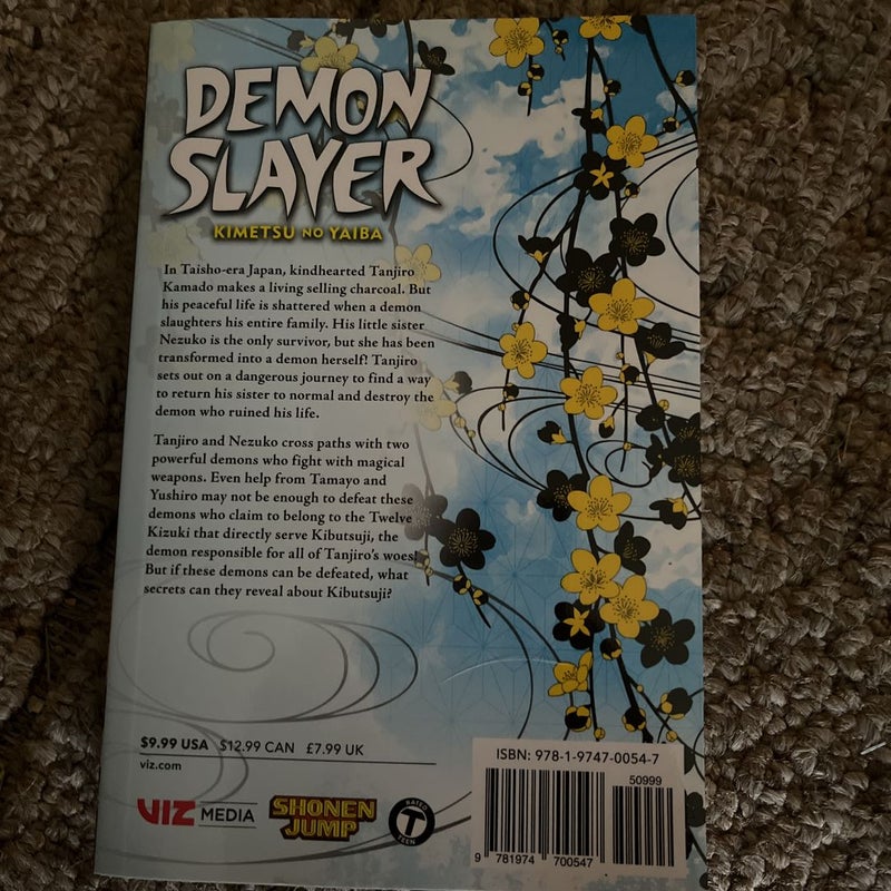 Demon Slayer: Kimetsu No Yaiba, Vol. 3