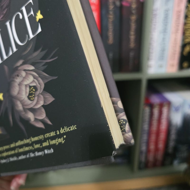An Education in Malice