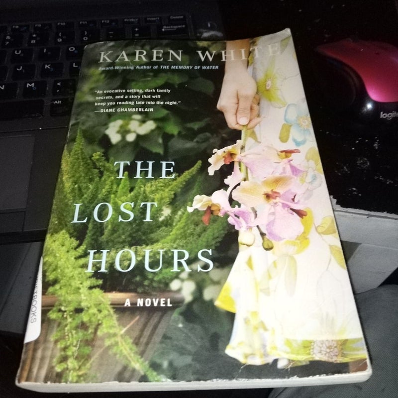 The Lost Hours