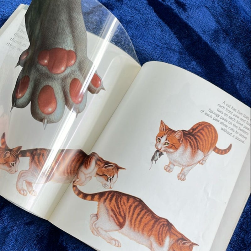 Cats