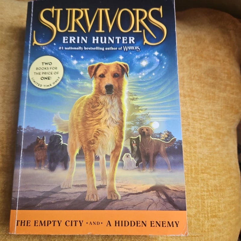 Survivors: the Empty City and a Hidden Enemy
