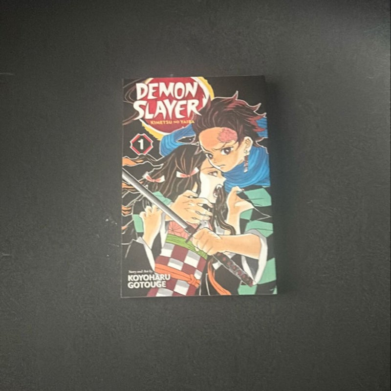 Demon Slayer: Kimetsu No Yaiba, Vol. 1