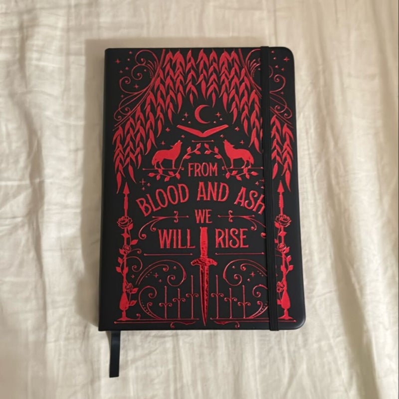 From Blood and Ash reading journal (FairyLoot exclusive)