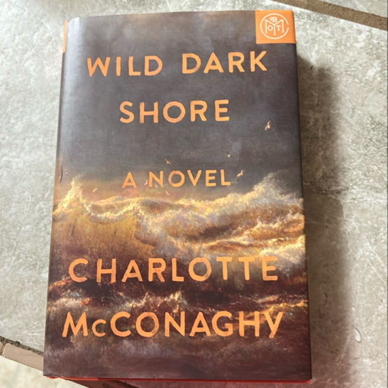 Wild Dark Shore