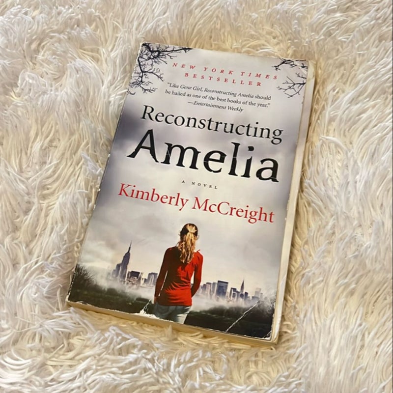 Reconstructing Amelia