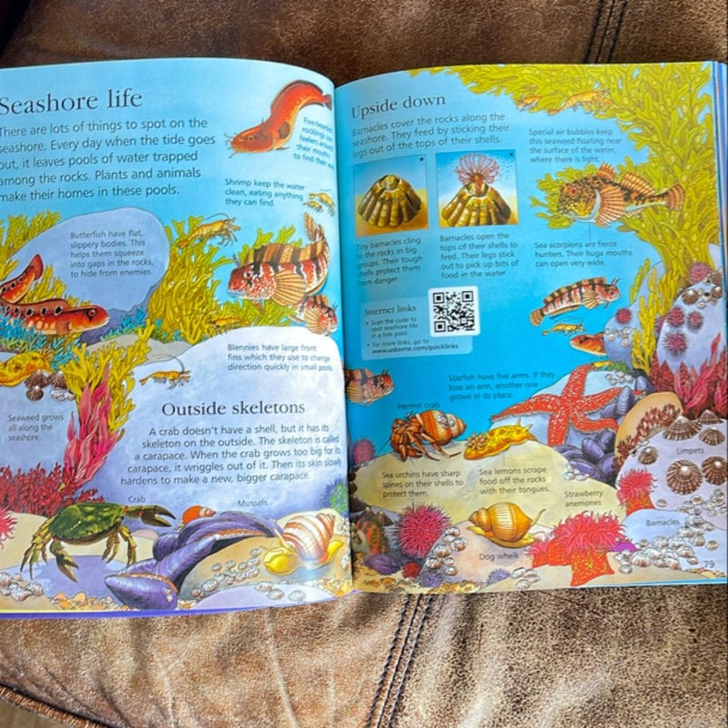 The Usborne Children’s Encyclopedia 