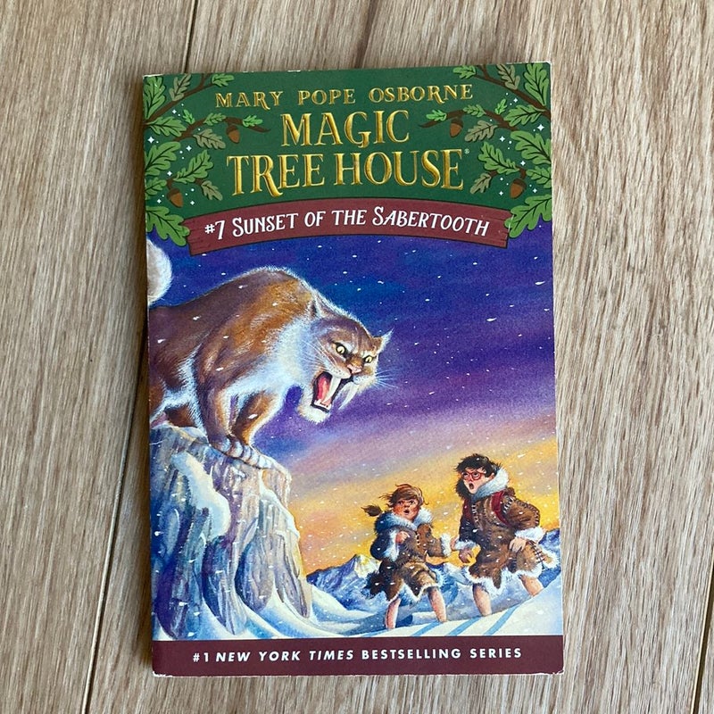 Magic Tree House Set #1-8