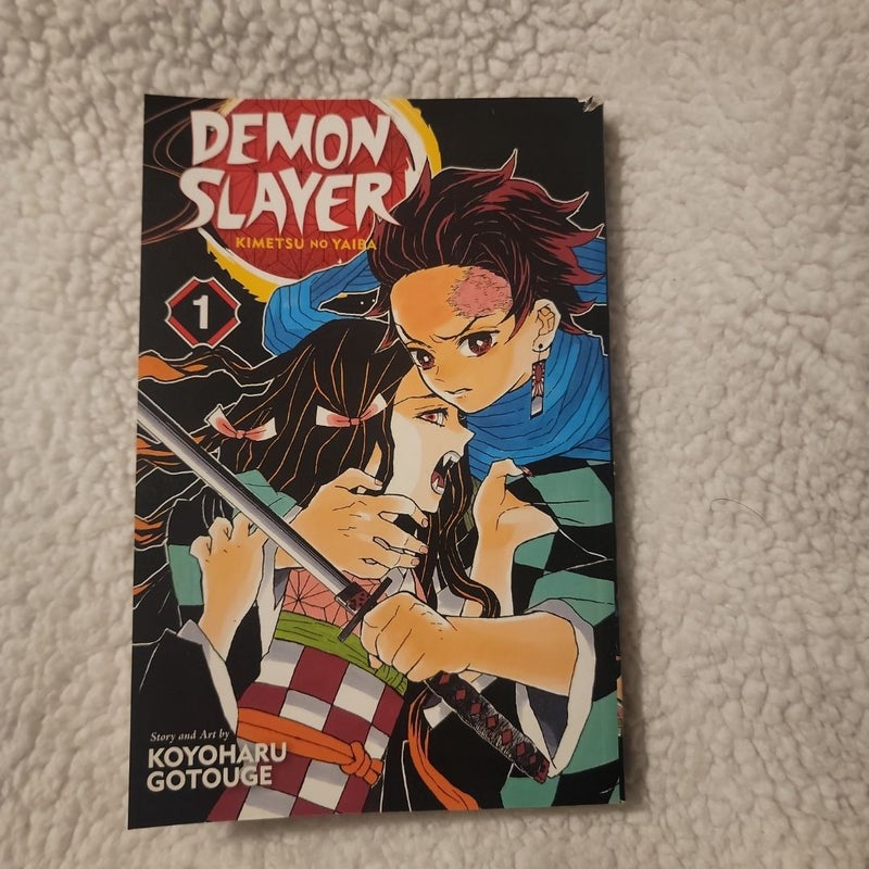 Demon Slayer: Kimetsu No Yaiba, Vol. 1