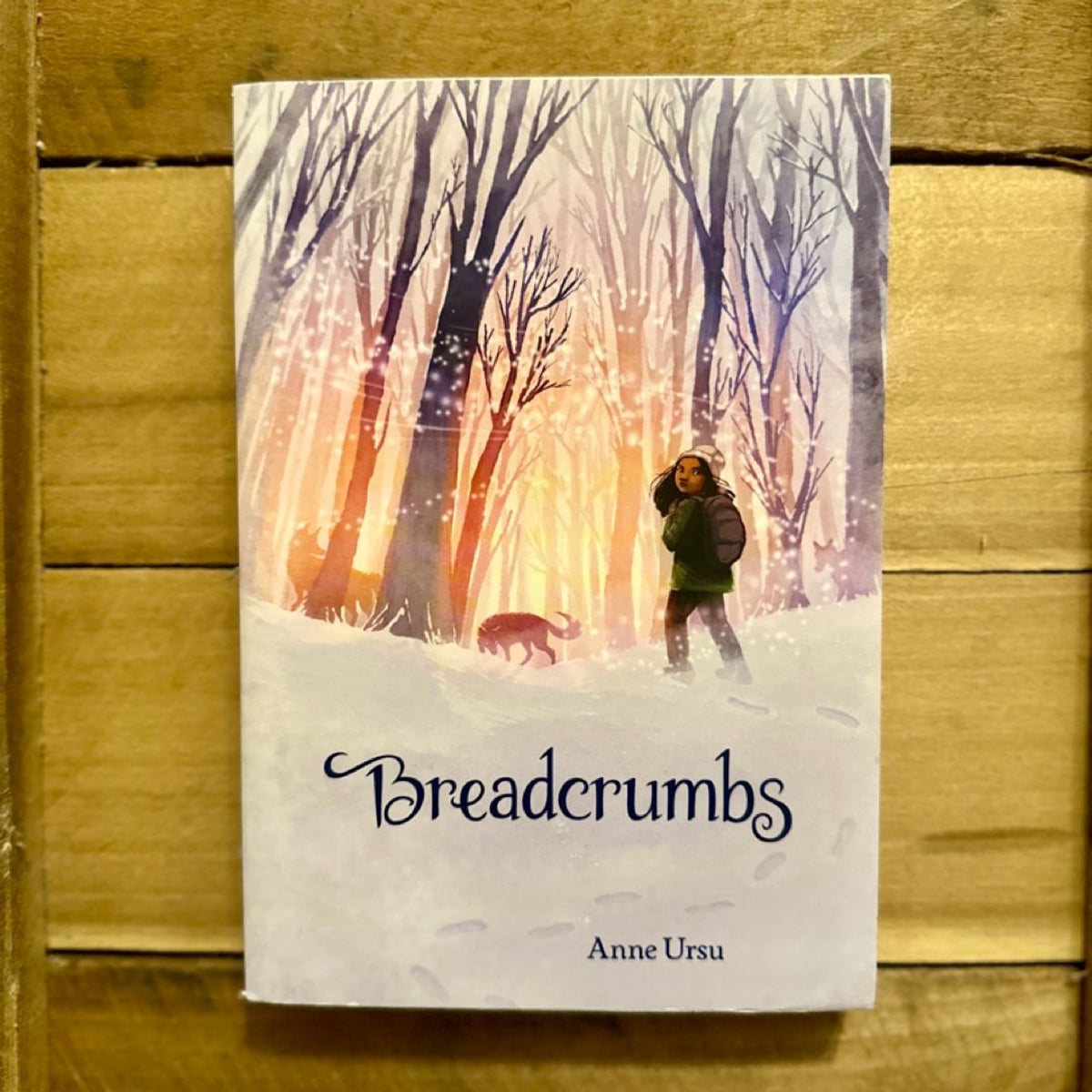 Breadcrumbs by Anna Ursu, Paperback Pangobooks