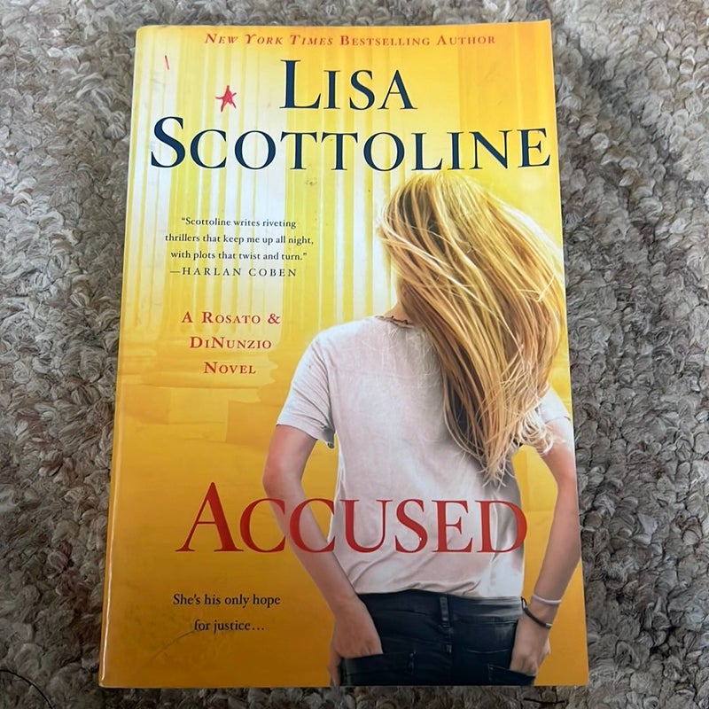 Accused: a Rosato and Dinunzio Novel