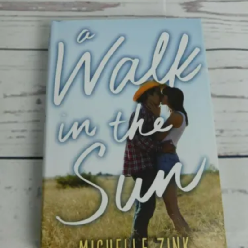 A Walk in the Sun by Michelle Zink hardcover