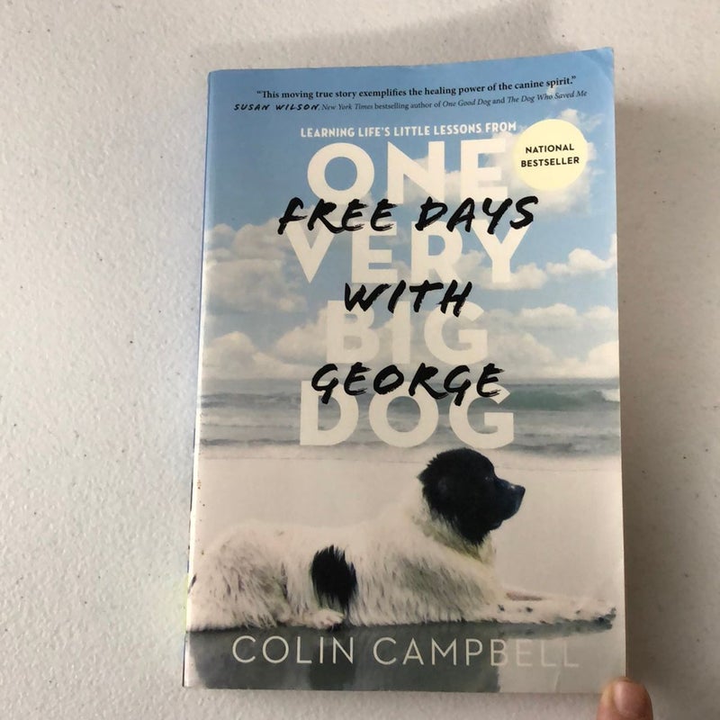 Free Days with George