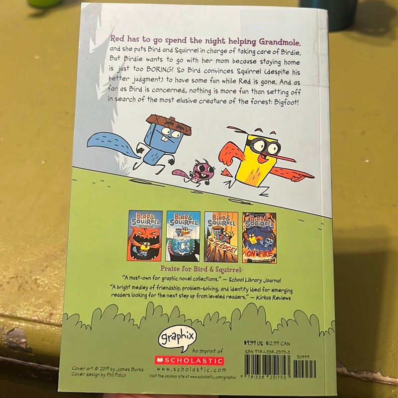 Bird and Squirrel All Tangled up: a Graphic Novel (Bird and Squirrel #5)