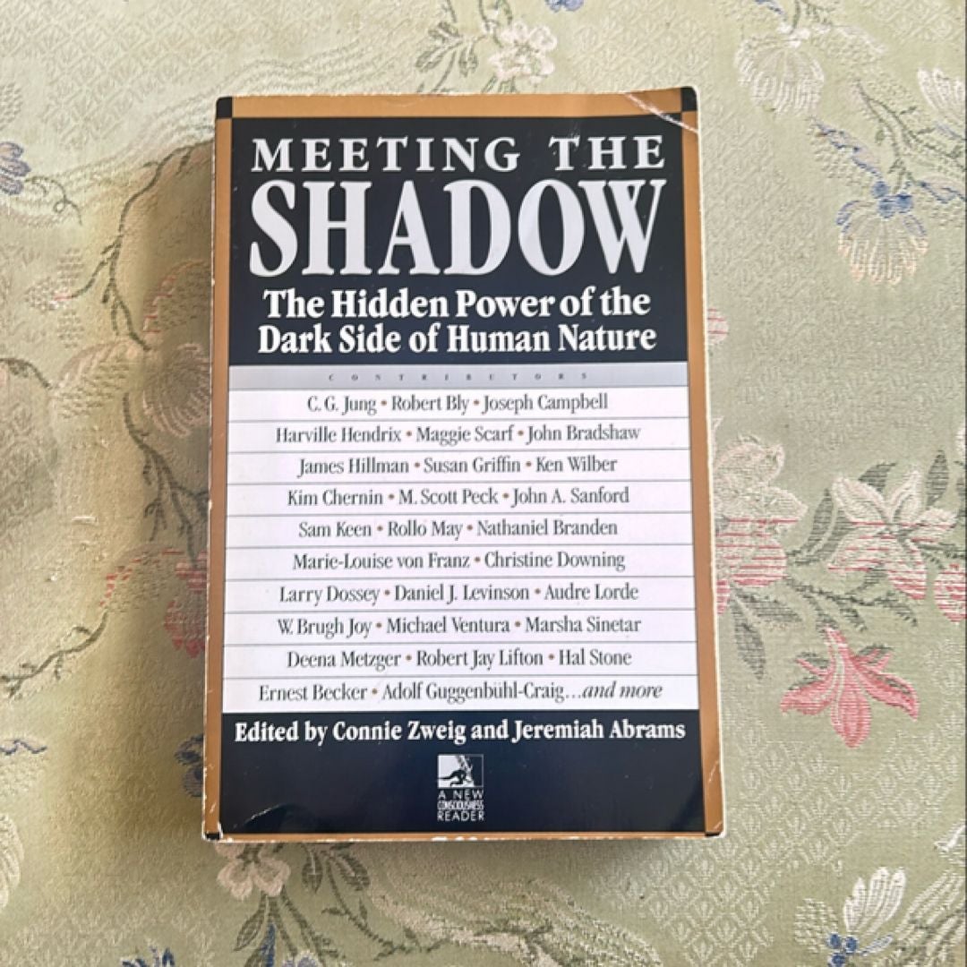 Meeting the Shadow