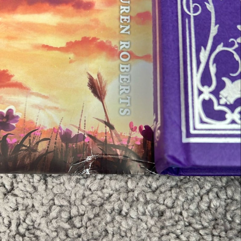 Powerless Waterstones SE With sprayed edges and reversible dust