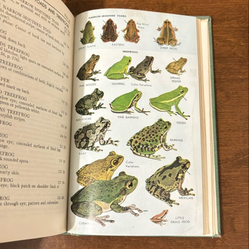 A field guide to reptiles and amphibians