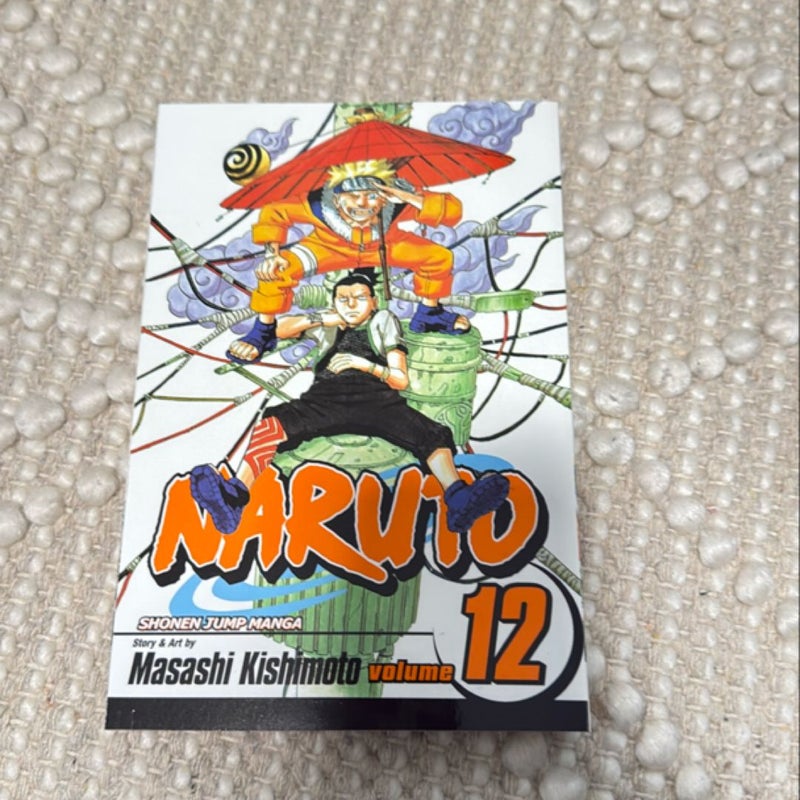 Naruto, Vol. 12