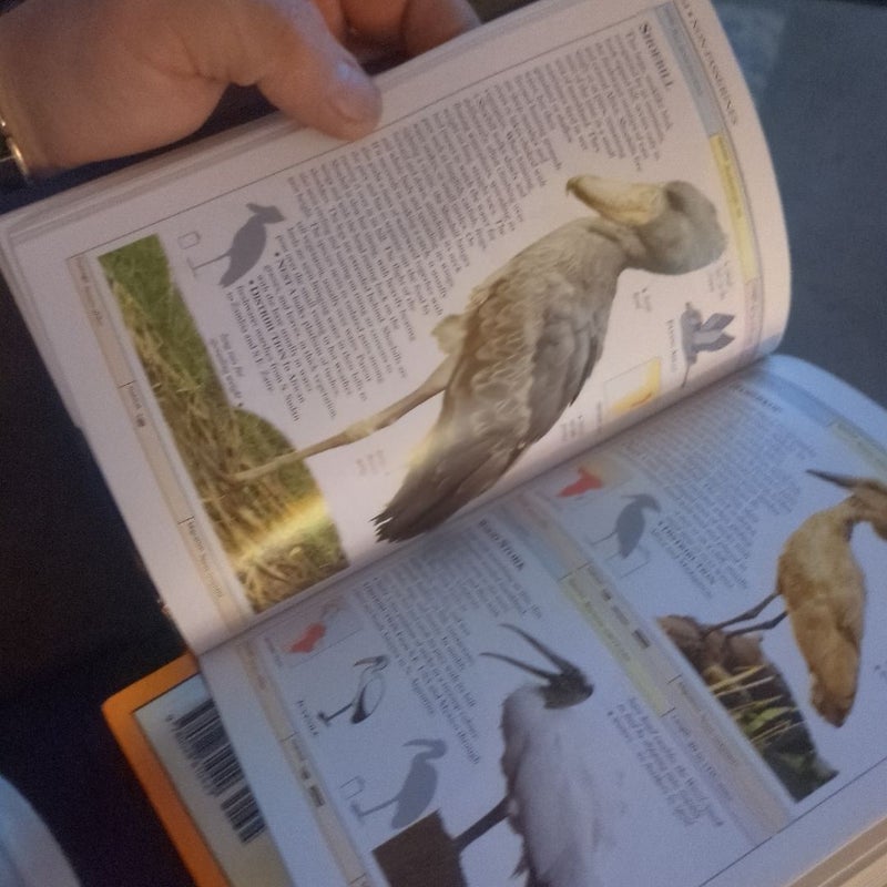 Birds of the World