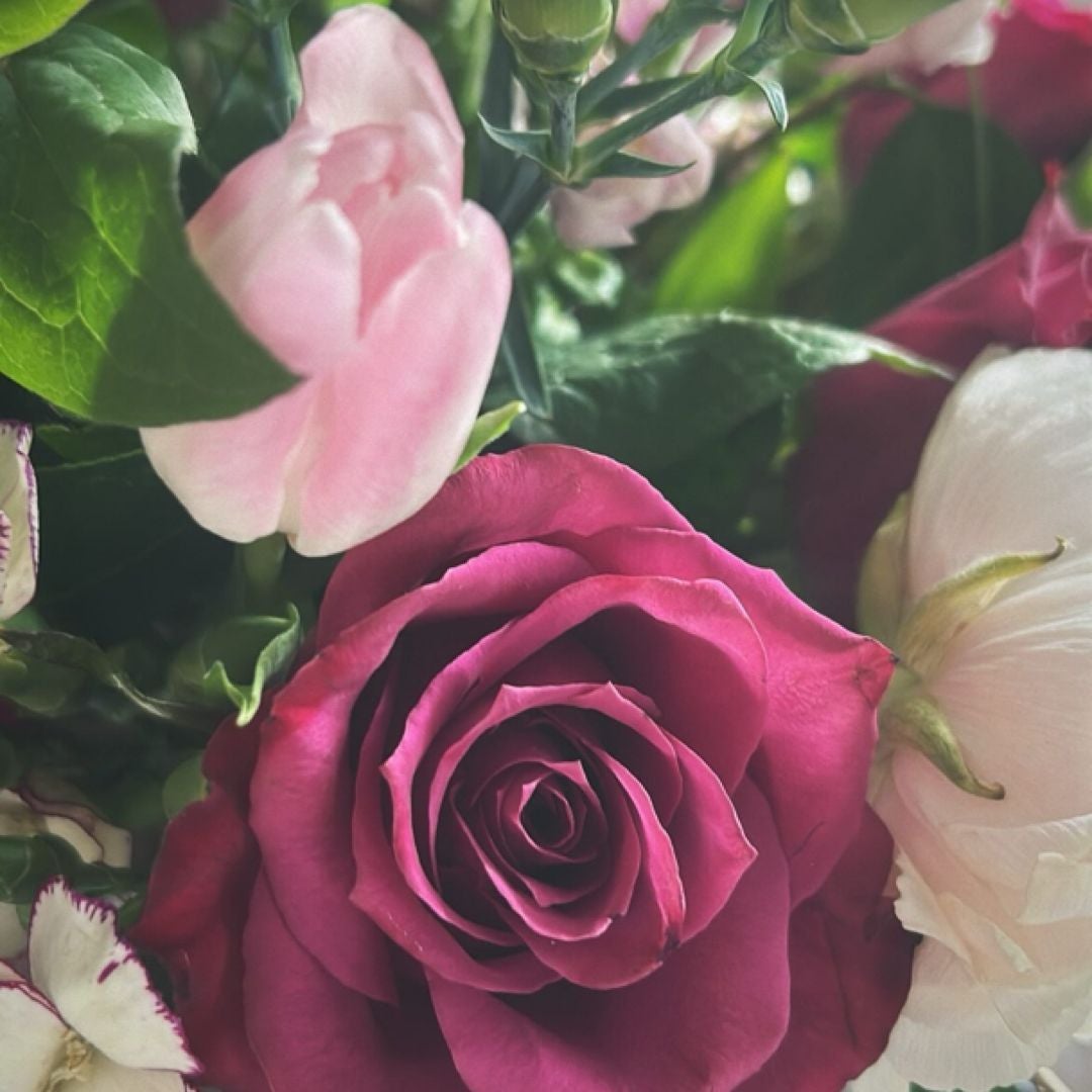 Rose Garden Books